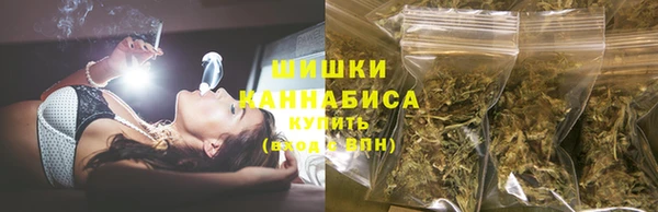 ПСИЛОЦИБИНОВЫЕ ГРИБЫ Алексеевка