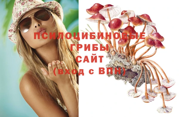 эйфоретик Алексин