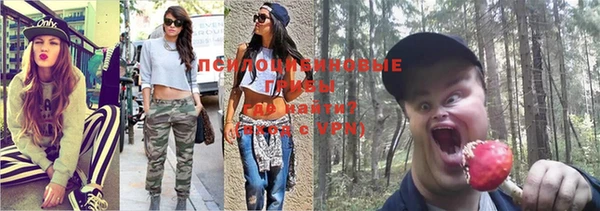 эйфоретик Алексин