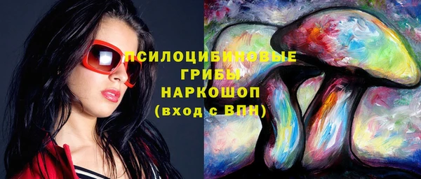 ПСИЛОЦИБИНОВЫЕ ГРИБЫ Алексеевка